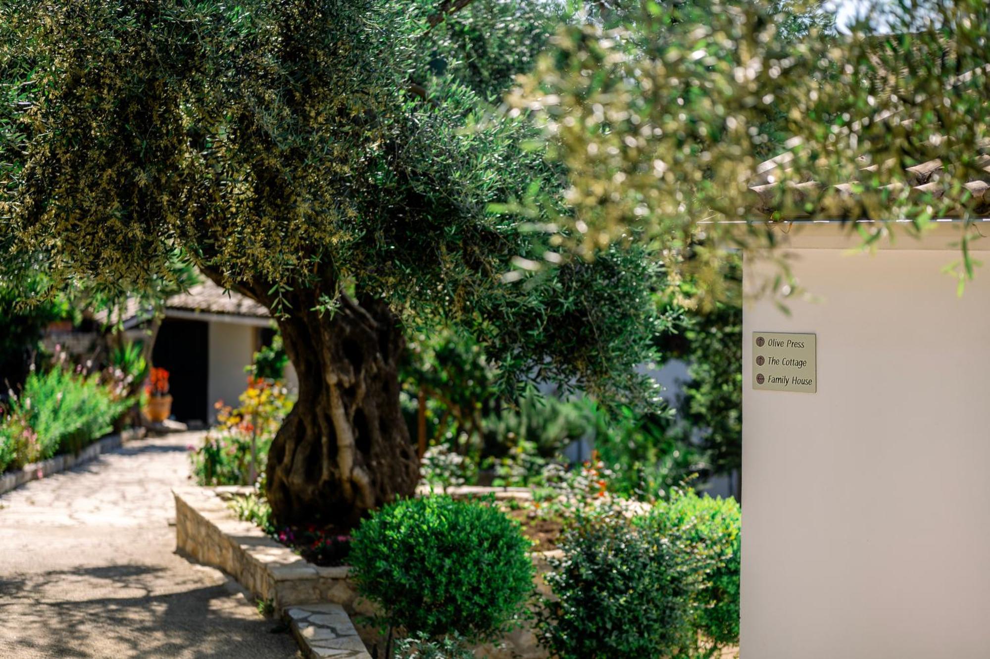 Nissaki Olive Press Villas Niszáki Kültér fotó